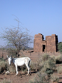 The Lion Temple in Naga