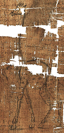 Foto des Papyrus